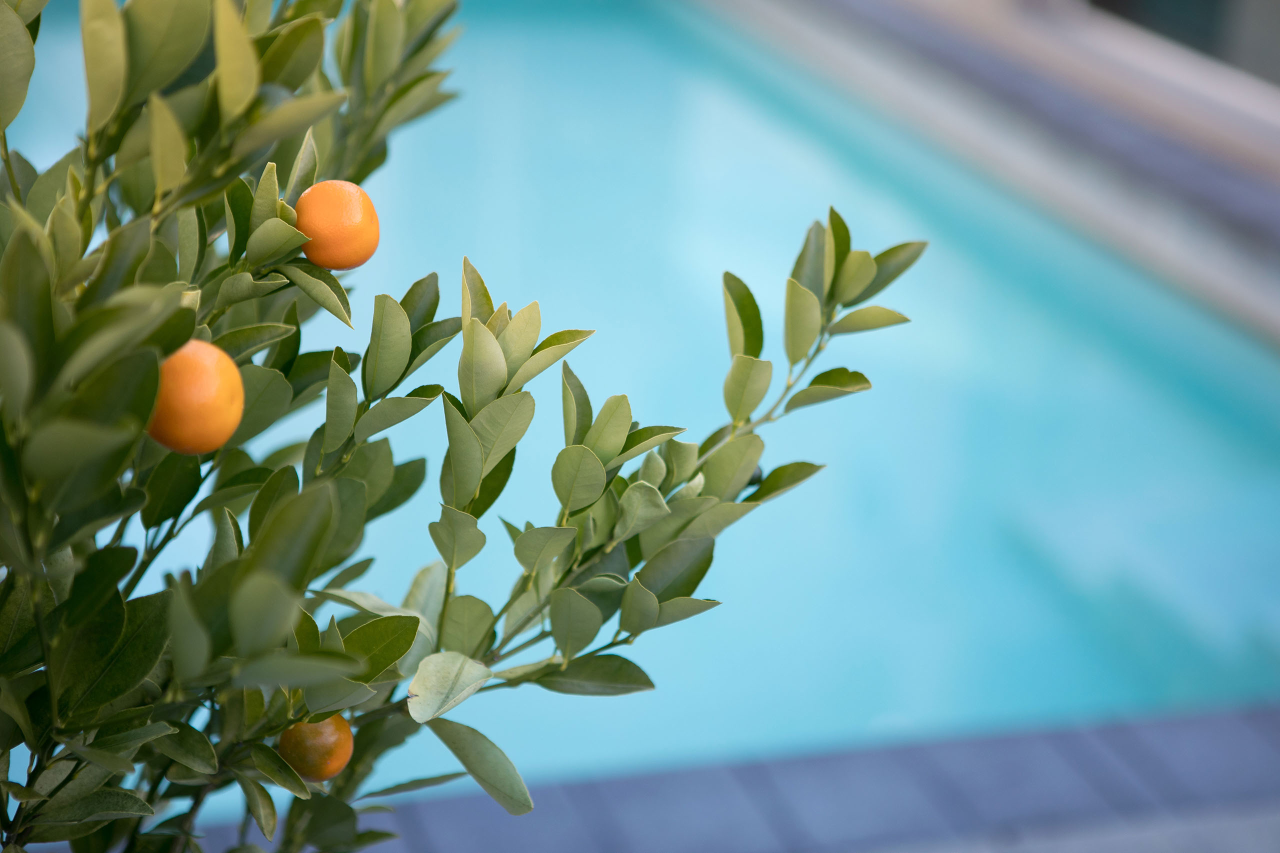 Taupo Kitchen Joinery Design and Renovation